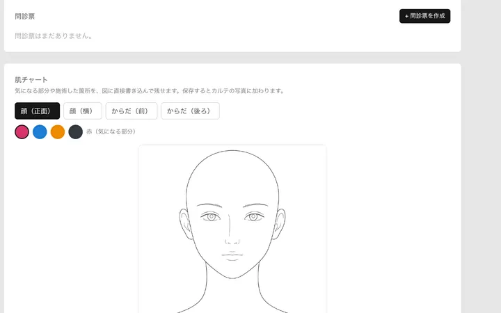 お客様の詳しい画面の、問診票と肌チャートのあたり