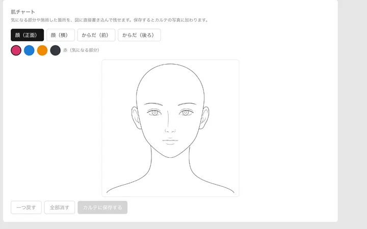肌チャート。顔の図に、気になる部分を手描きで記録できる