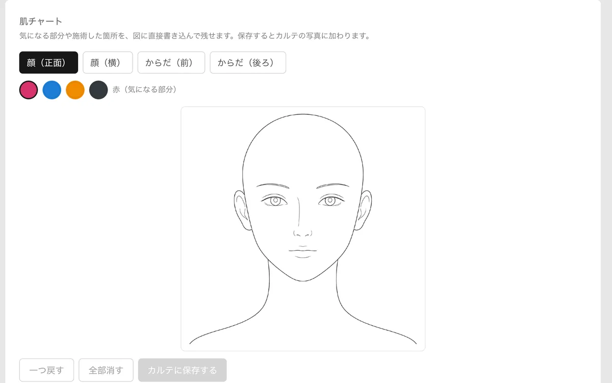 KANDEKIのカルテの肌チャート。顔の図に、気になる部分を手描きで記録できる